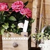 offrir des fleurs signification